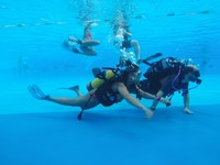 GOPR0651.jpg